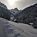 Σαλέ Alpenlodge Willigen