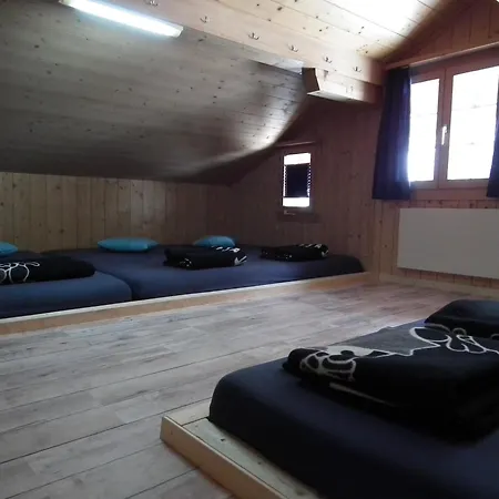 Alpenlodge בקתה Willigen