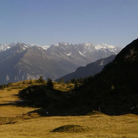 Chalet Alpenlodge Willigen