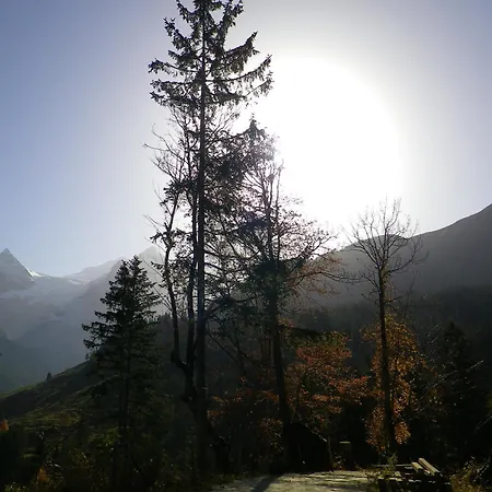 Alpenlodge *