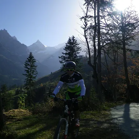 Alpenlodge בקתה Willigen