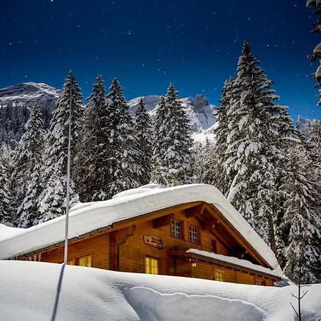 Alpenlodge Willigen