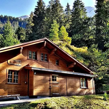 Alpenlodge * Willigen