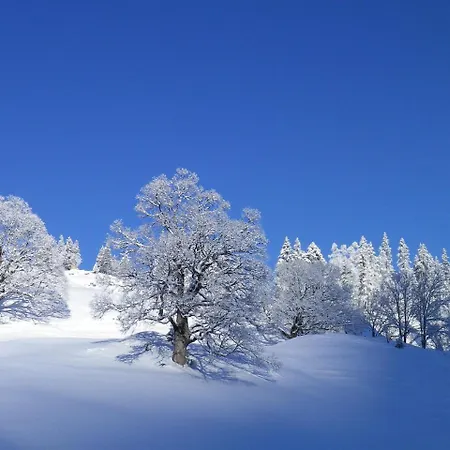 阿尔本旅馆 Willigen