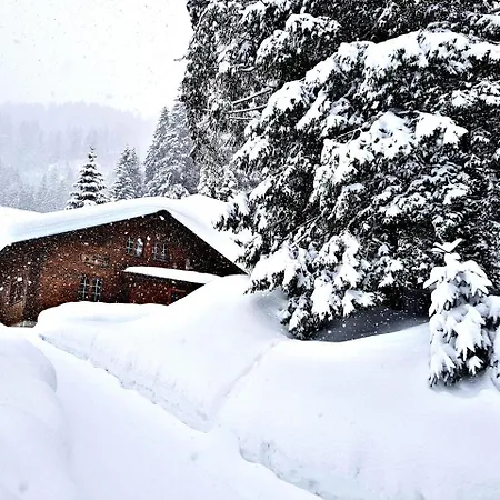 Alpenlodge * Willigen