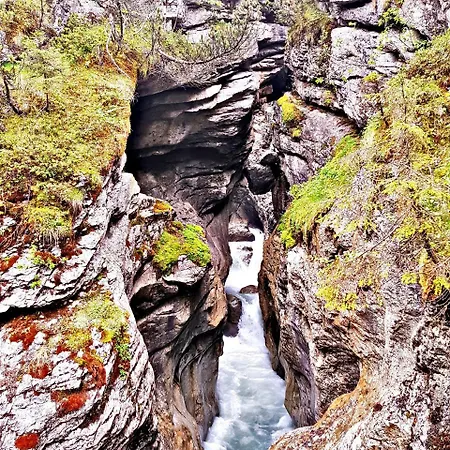 Alpenlodge בקתה *