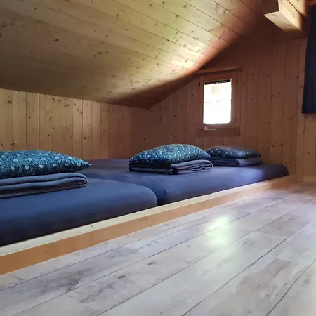 Alpenlodge בקתה Willigen