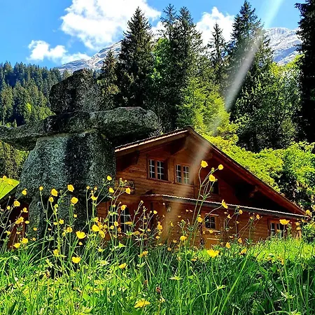 Alpenlodge * Willigen