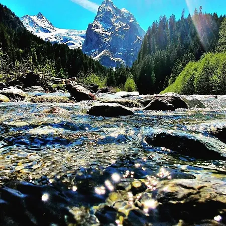 בקתה Alpenlodge Willigen