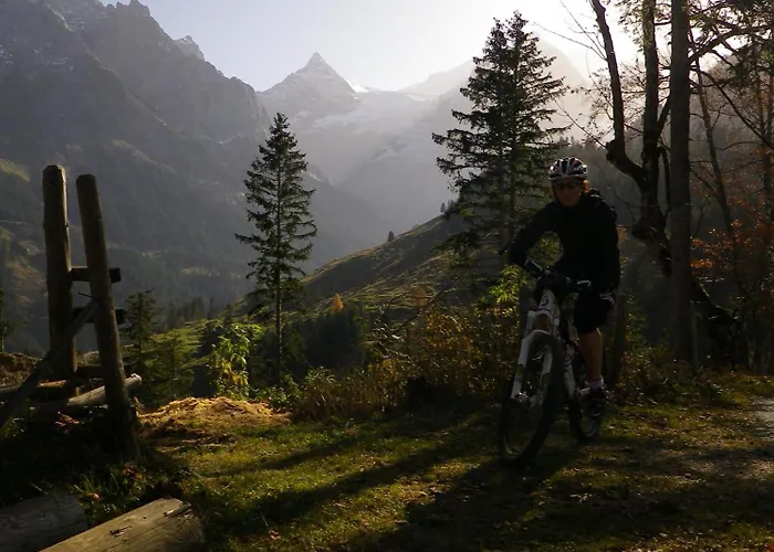 Alpenlodge * Willigen