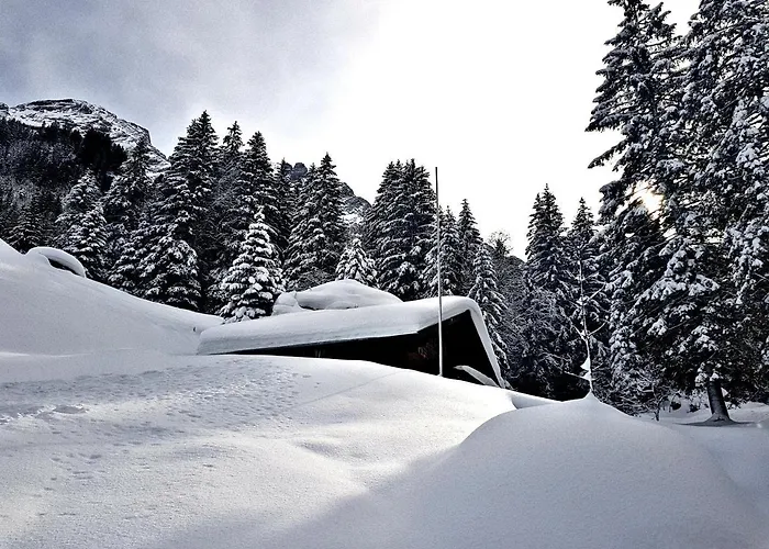 Alpenlodge