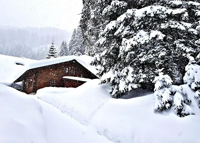 Alpenlodge * Willigen