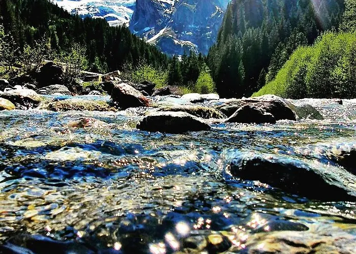 Alpehytte Alpenlodge Willigen