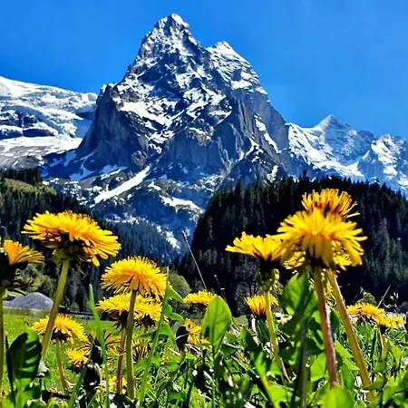 Alpenlodge Willigen