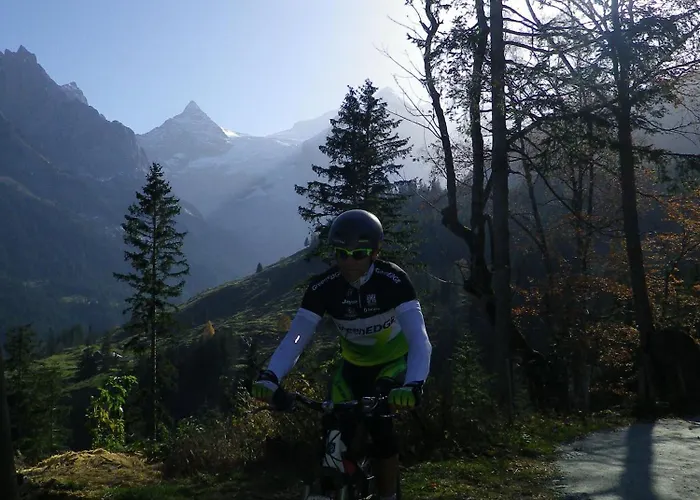 Alpenlodge Chalet Willigen