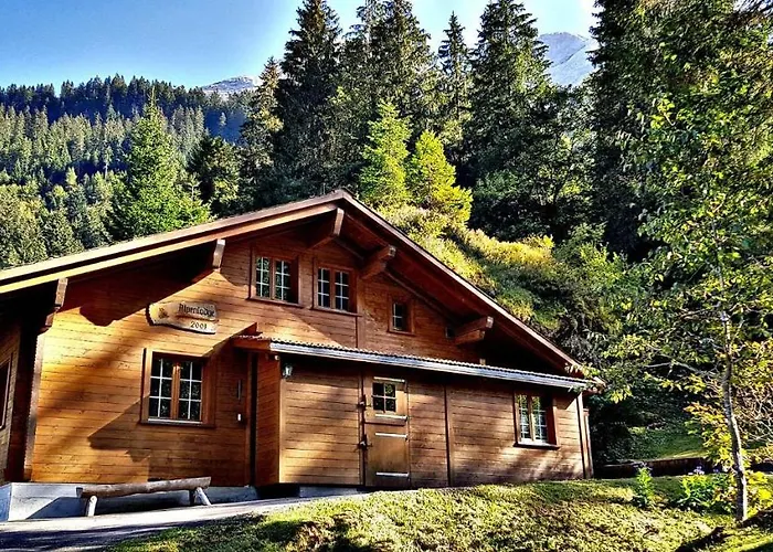 Alpenlodge * Willigen