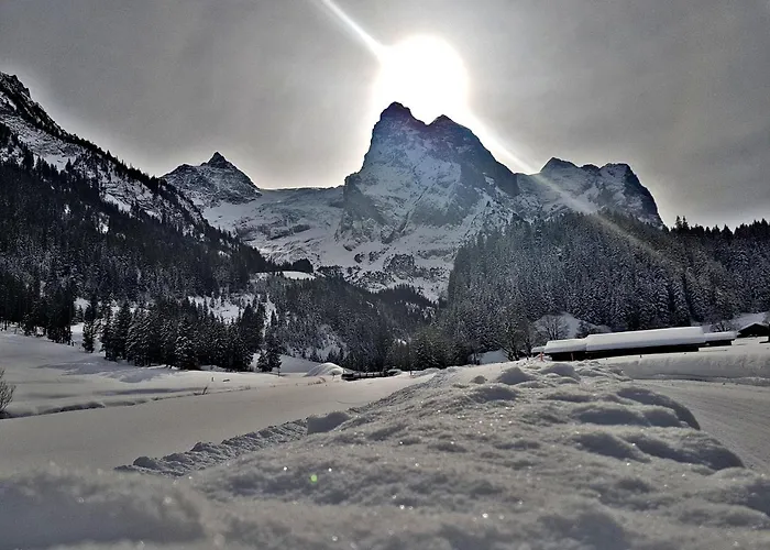 Alpenlodge * Willigen