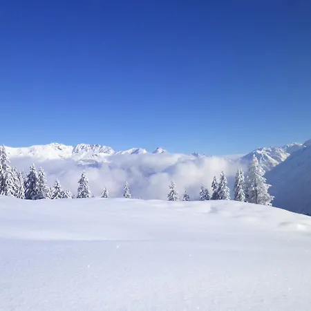 Alpenlodge Willigen