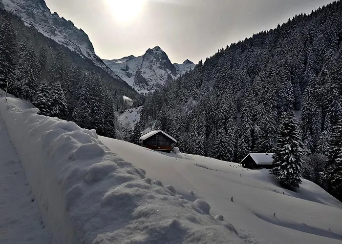 Dağ evi Alpenlodge Willigen
